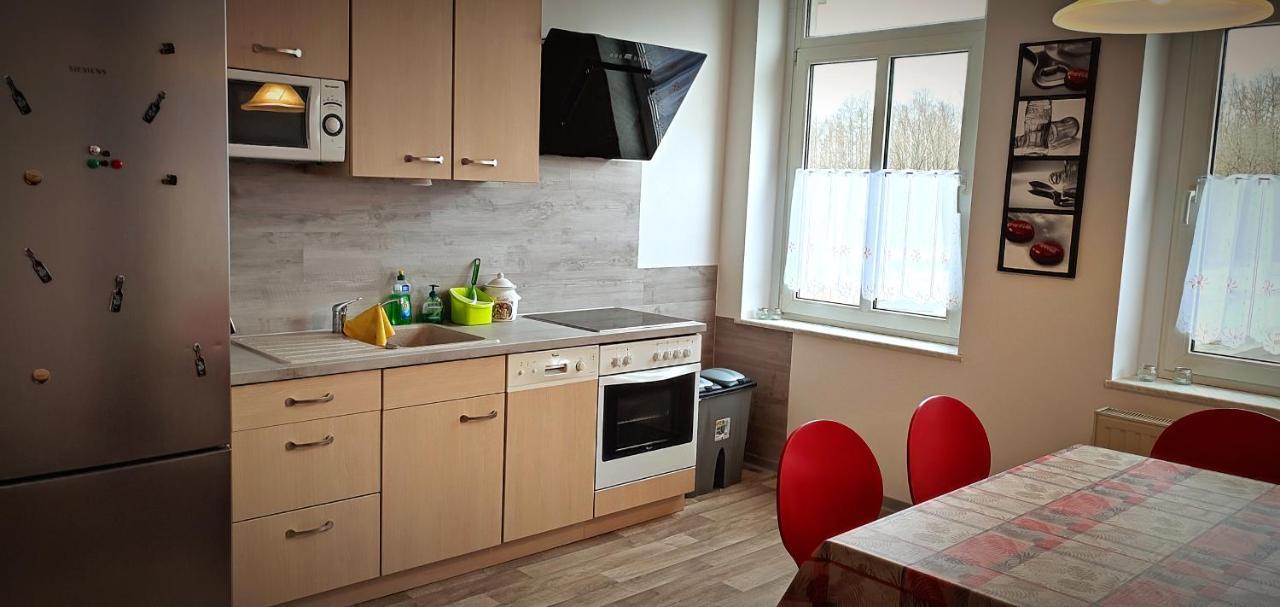 Ferienwohnung Am Birkenwaeldchen Plauen Zewnętrze zdjęcie